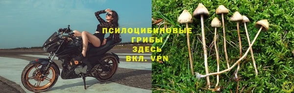 MESCALINE Зерноград